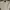 Tommy Hilfiger Vintage Harrington Jacket Pria White