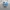 Adidas Casual Sneakers Pria blue photo 2