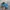 Adidas Casual Sneakers Pria blue photo 3