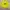 Vintage Sweater Pria yellow photo 1