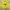 Vintage Sweater Pria Yellow
