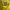 Vintage Sweater Pria yellow photo 3