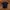 The North Face Streetwear Sportswear Pria black photo 2