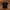 The North Face Streetwear Sportswear Pria Black