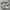 Adidas Casual Sneakers Pria white tan photo 1