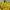 Streetwear Sweatshirt Pria black yellow photo 6