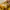 Casual Sweatshirt Pria yellow photo 5