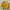 Casual Sweatshirt Pria Yellow