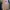 Ingni Vintage Pea coat Wanita pink photo 2
