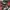 Nike Streetwear Casual Track jacket Pria red black photo 5