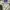 Reebok Sportswear Casual Hat Pria white cream photo 4