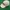 Reebok Sportswear Casual Hat Pria white cream photo 2