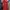 Vintage Trench coat Wanita red photo 2