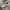 Converse Vintage Grunge Sneakers Wanita white black photo 1
