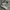 Converse Vintage Grunge Sneakers Wanita white black photo 5