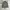 VANS Vintage Streetwear Parka Pria green photo 1