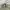 VANS Vintage Streetwear Parka Pria green photo 4