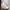Kangol Y2K Indie Hat Pria multicolor photo 6