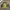 Columbia Sportswear Windbreaker Pria gray yellow photo 1
