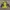 Columbia Sportswear Windbreaker Pria gray yellow photo 2