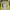 Columbia Sportswear Windbreaker Pria gray yellow photo 6