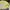 Columbia Sportswear Windbreaker Pria gray yellow photo 5