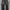 Dickies Vintage Dungaree Pria black photo 2