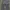 Dickies Streetwear Casual Pants Pria Gray
