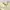 WHO.A.U Casual Formal shirt Pria cream photo 2