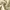 WHO.A.U Casual Formal shirt Pria cream photo 4