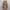 Vintage Y2K Formal pants Pria tan brown photo 4