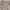 Vintage Y2K Formal Pants Pria Tan Brown