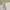 Balenciaga Minimalist Muslim Formal shirt Pria multicolor photo 2