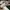 Adidas Casual Casual shoe Pria white black photo 4