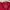 Sportswear Jersey Pria red photo 6