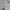Casual Polo shirt Pria white photo 5