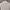 Lacoste Luxury Casual Polo shirt Pria white red photo 2