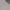 ZARA Casual Polo shirt Pria cream photo 4