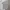 Sportswear Casual Polo shirt Pria gray photo 3
