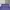 Sportswear Polo shirt Pria purple photo 6