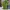 Daks Sportswear Polo shirt Pria green photo 1
