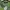 Daks Sportswear Polo shirt Pria green photo 6