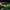 Under Armour Sportswear Hoody Pria green photo 3