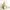 Coach Vintage Avant Garde Shoulder bag Wanita gold cream photo 3