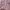 Mezzo Piano Coquette Casual Cardigan Wanita pink photo 3