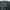 Valentino Streetwear Casual Sweatshirt Pria Green Black