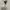 Isabel Marant Fairy Coquette Cami top Wanita white cream photo 2