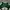 Streetwear Sportswear Hat Pria green photo 5