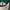Streetwear Sportswear Hat Pria green photo 6