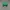 Streetwear Sportswear Hat Pria green photo 3